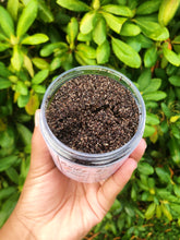 Load image into Gallery viewer, Fall Bundle Set