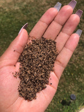 Load image into Gallery viewer, Coffee Scrub